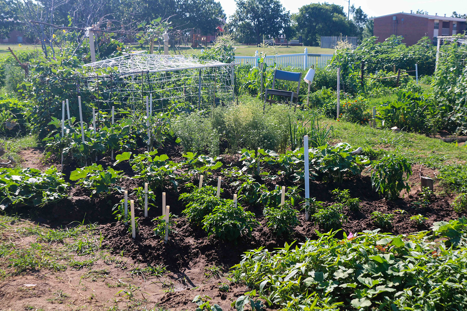 FGSH Garden Plots | Oklahoma State University